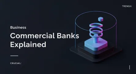 Commercial Banks Explained