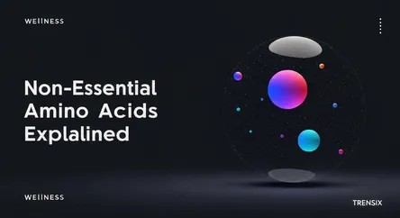 Non-Essential Amino Acids Explained