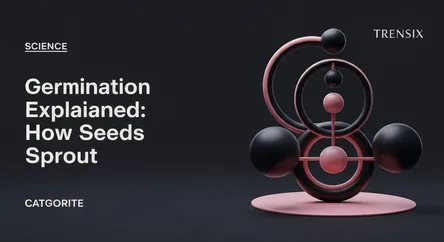 Germination Explained: How Seeds Sprout