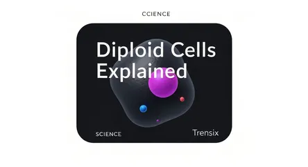 Diploid Cells Explained
