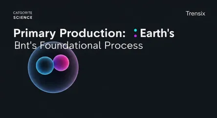 Primary Production: Earth's Foundational Process