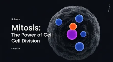 Mitosis: The Power of Cell Division