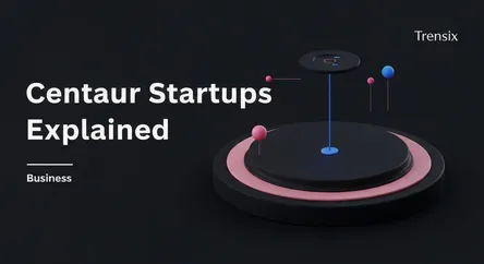 Centaur Startups Explained