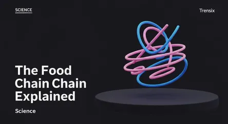 The Food Chain Explained