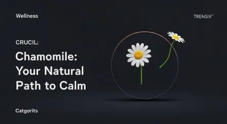 Chamomile: Your Natural Path to Calm
