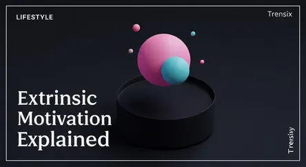 Extrinsic Motivation Explained