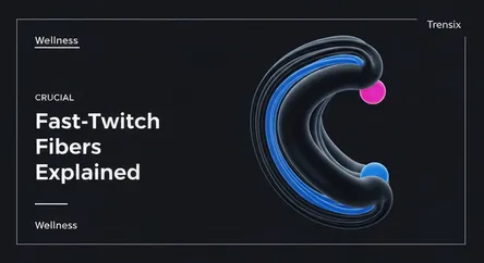 Fast-Twitch Fibers Explained