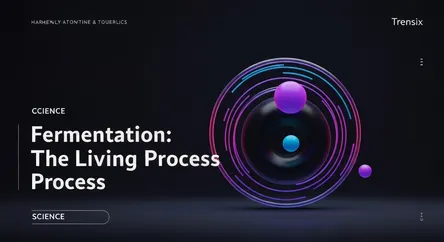 Fermentation: The Living Process