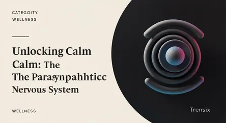 Unlocking Calm: The Parasympathetic Nervous System