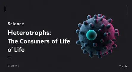 Heterotrophs: The Consumers of Life