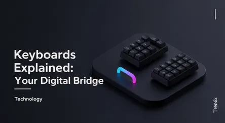 Keyboards Explained: Your Digital Bridge