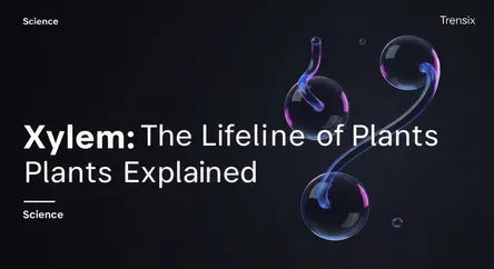 Xylem: The Lifeline of Plants Explained