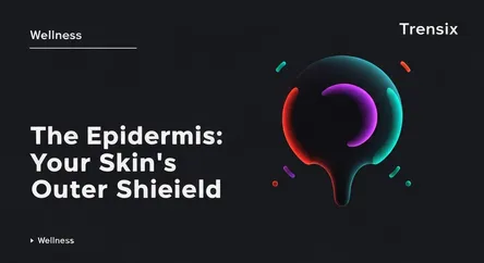 The Epidermis: Your Skin's Outer Shield