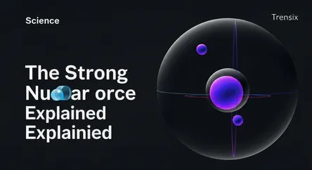 The Strong Nuclear Force Explained