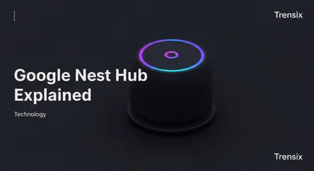 Google Nest Hub Explained