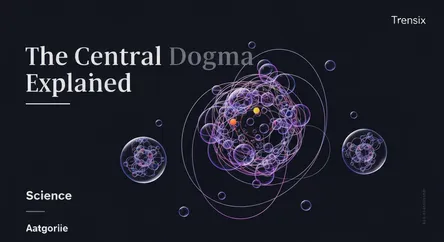The Central Dogma Explained