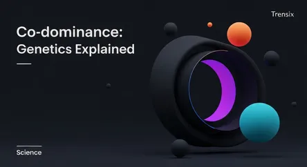 Co-dominance: Genetics Explained