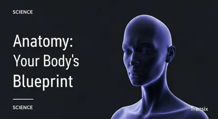 Anatomy: Your Body's Blueprint
