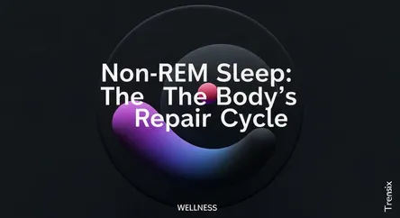 Non-REM Sleep: The Body's Repair Cycle