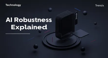 AI Robustness Explained