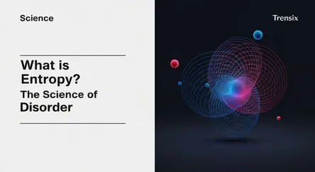 What is Entropy? The Science of Disorder