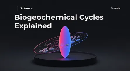 Biogeochemical Cycles Explained