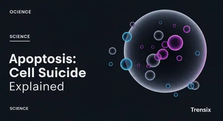 Apoptosis: Cell Suicide Explained