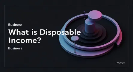 What is Disposable Income?