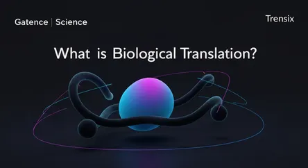 What is Biological Translation?
