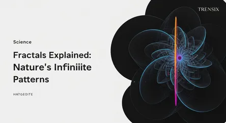 Fractals Explained: Nature's Infinite Patterns