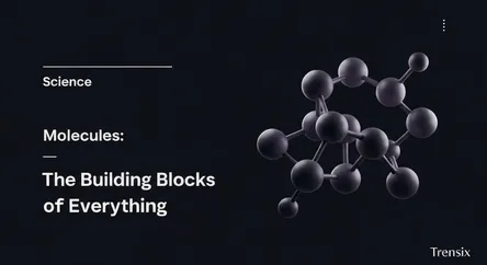 Molecules: The Building Blocks of Everything