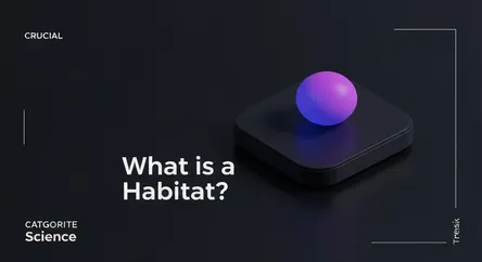 What is a Habitat?