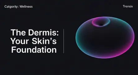 The Dermis: Your Skin's Foundation