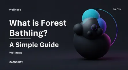What is Forest Bathing? A Simple Guide