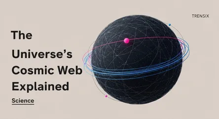 The Universe's Cosmic Web Explained