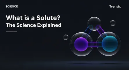 What is a Solute? The Science Explained