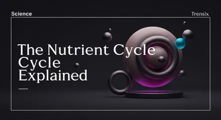 The Nutrient Cycle Explained