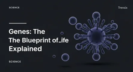 Genes: The Blueprint of Life Explained