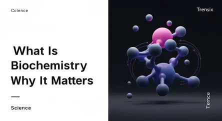 What Is Biochemistry and Why It Matters