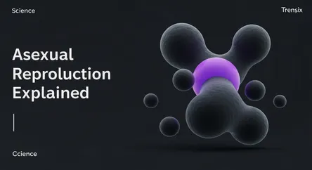 Asexual Reproduction Explained