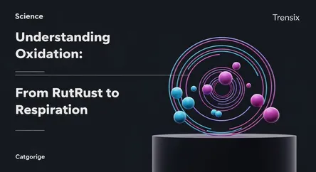 Understanding Oxidation: From Rust to Respiration