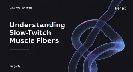 Understanding Slow-Twitch Muscle Fibers