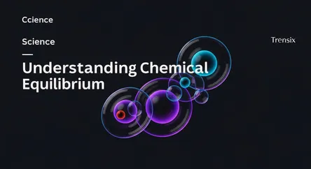 Understanding Chemical Equilibrium