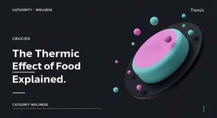 The Thermic Effect of Food Explained
