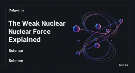 The Weak Nuclear Force Explained
