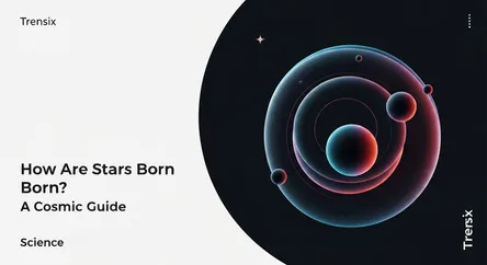 How Are Stars Born? A Cosmic Guide