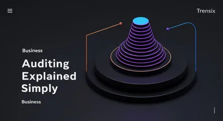 Auditing Explained Simply