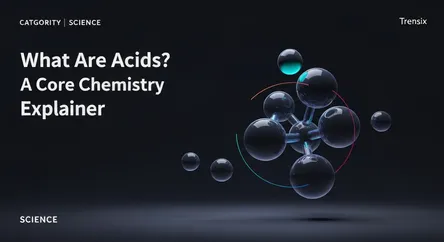 What Are Acids? A Core Chemistry Explainer