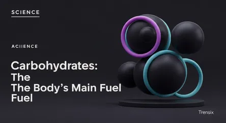 Carbohydrates: The Body's Main Fuel