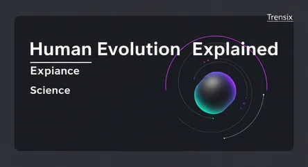 Human Evolution Explained